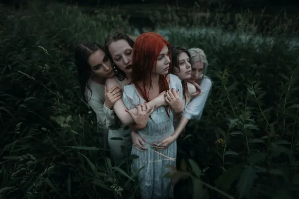 Kasino Dove Bingo Podpora